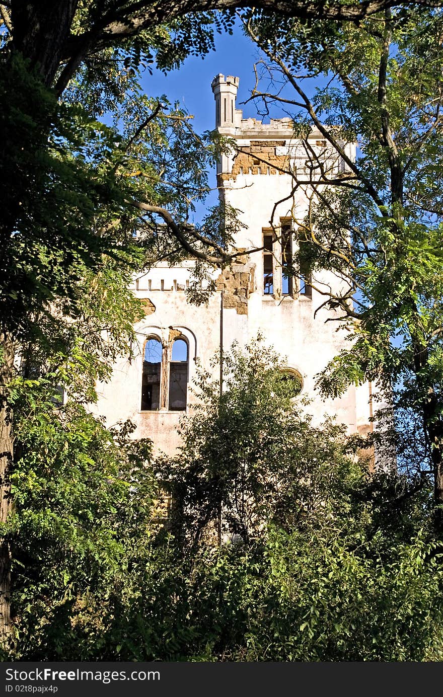 Deserted castle overgrown with plants