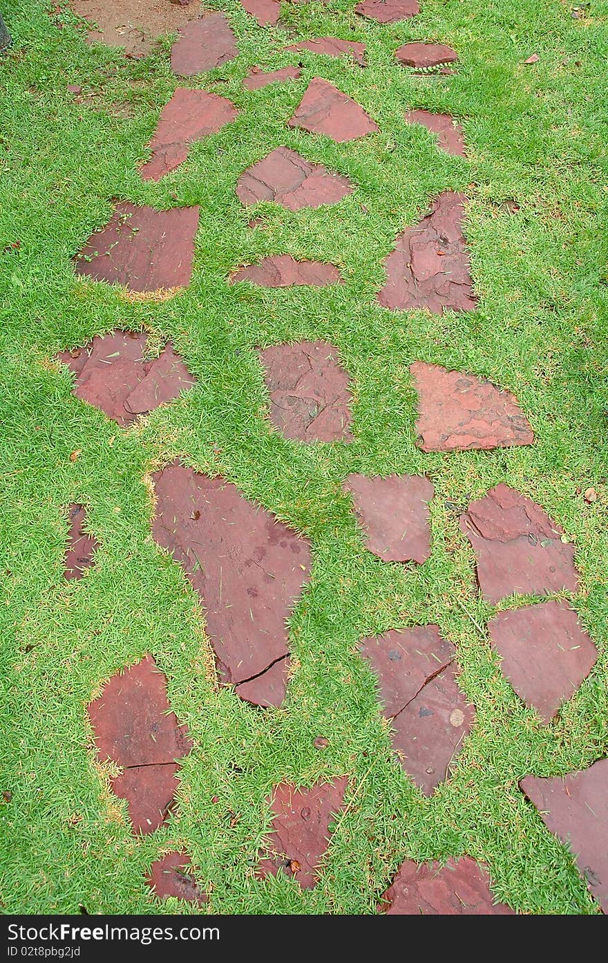 Stone walkway winding in garden