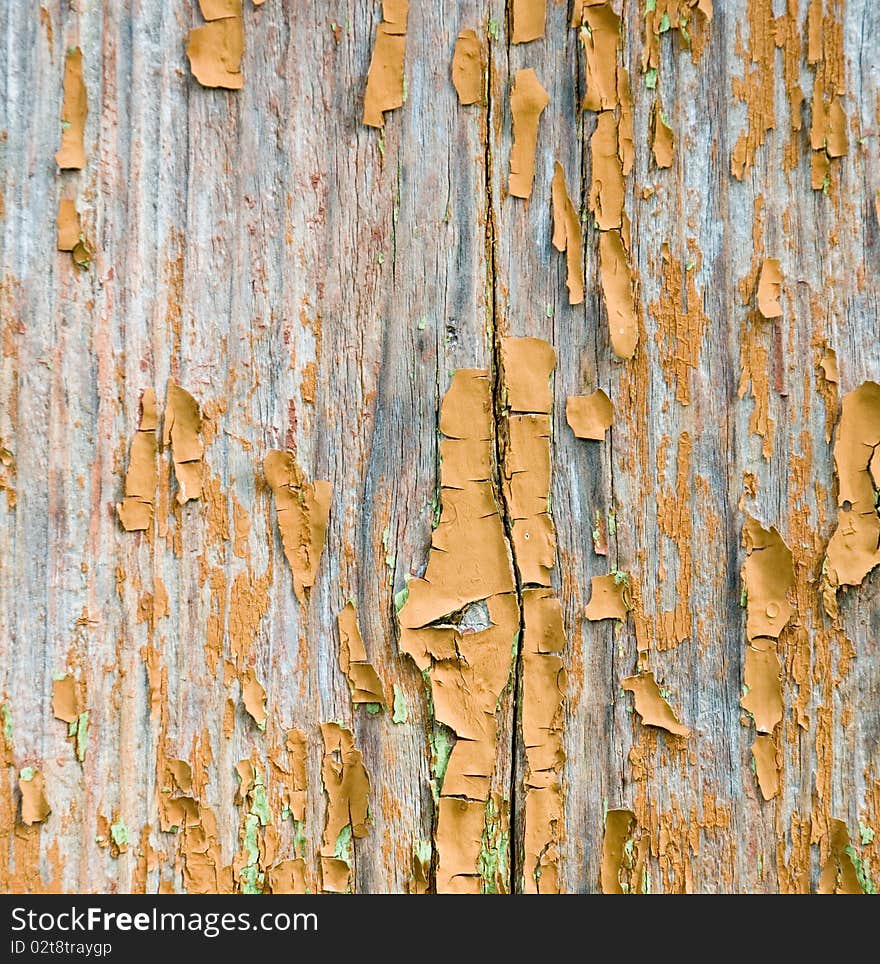 Old wooden background. grunge paint. Old wooden background. grunge paint