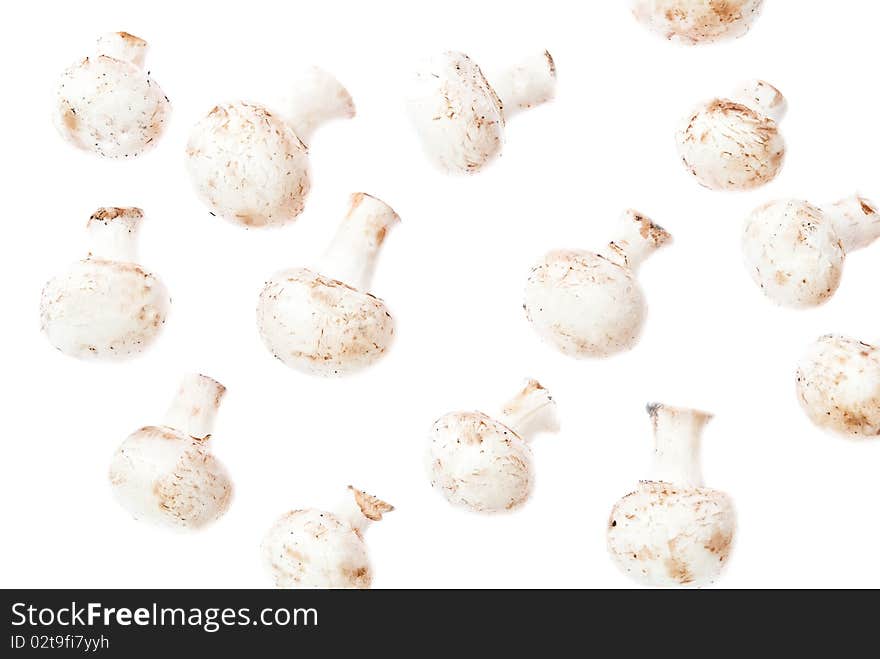 Raw mushrooms isolated on white background