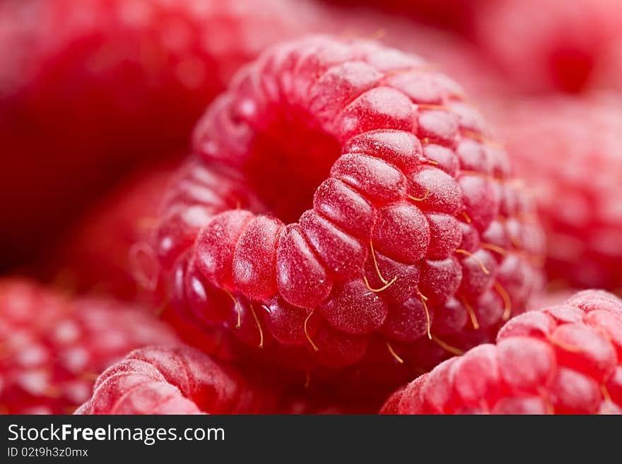 Ripe Raspberries.