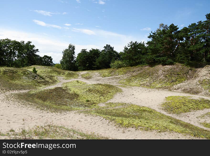 Sand on Baltic sea coast. Sand on Baltic sea coast.