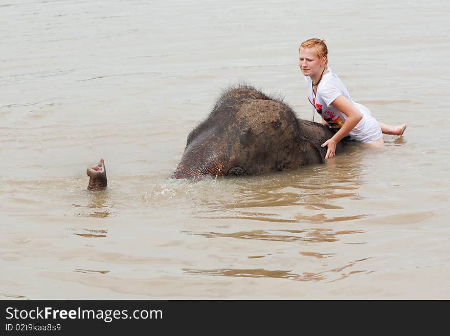 Girl has bath with elephant