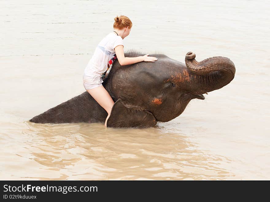 Girl has bath with elephant