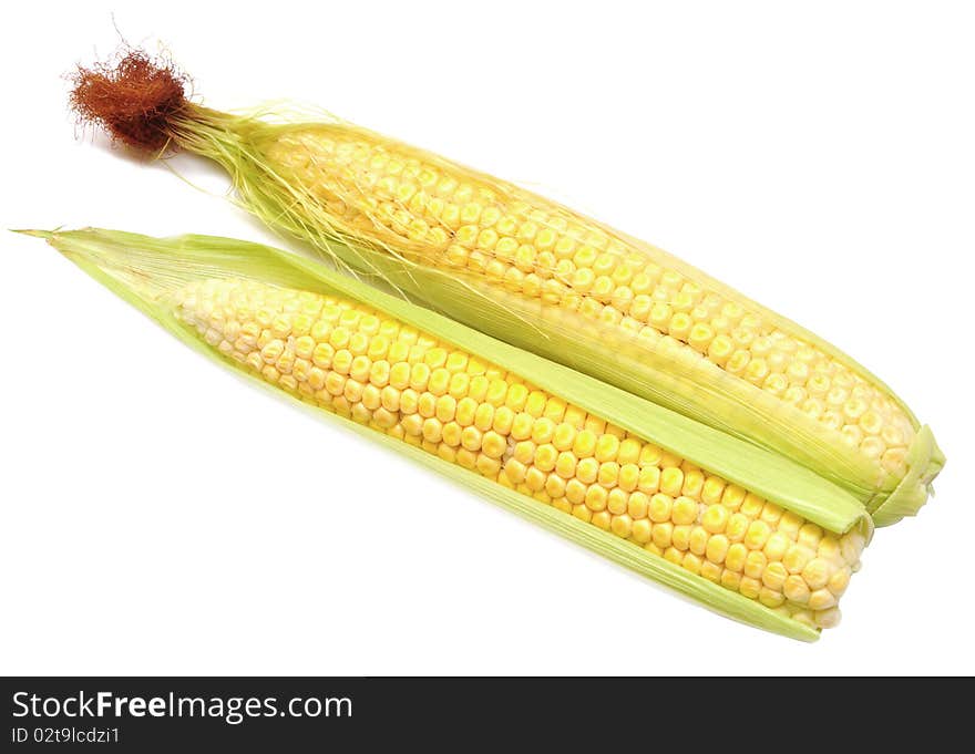 Two Cob Of Corn