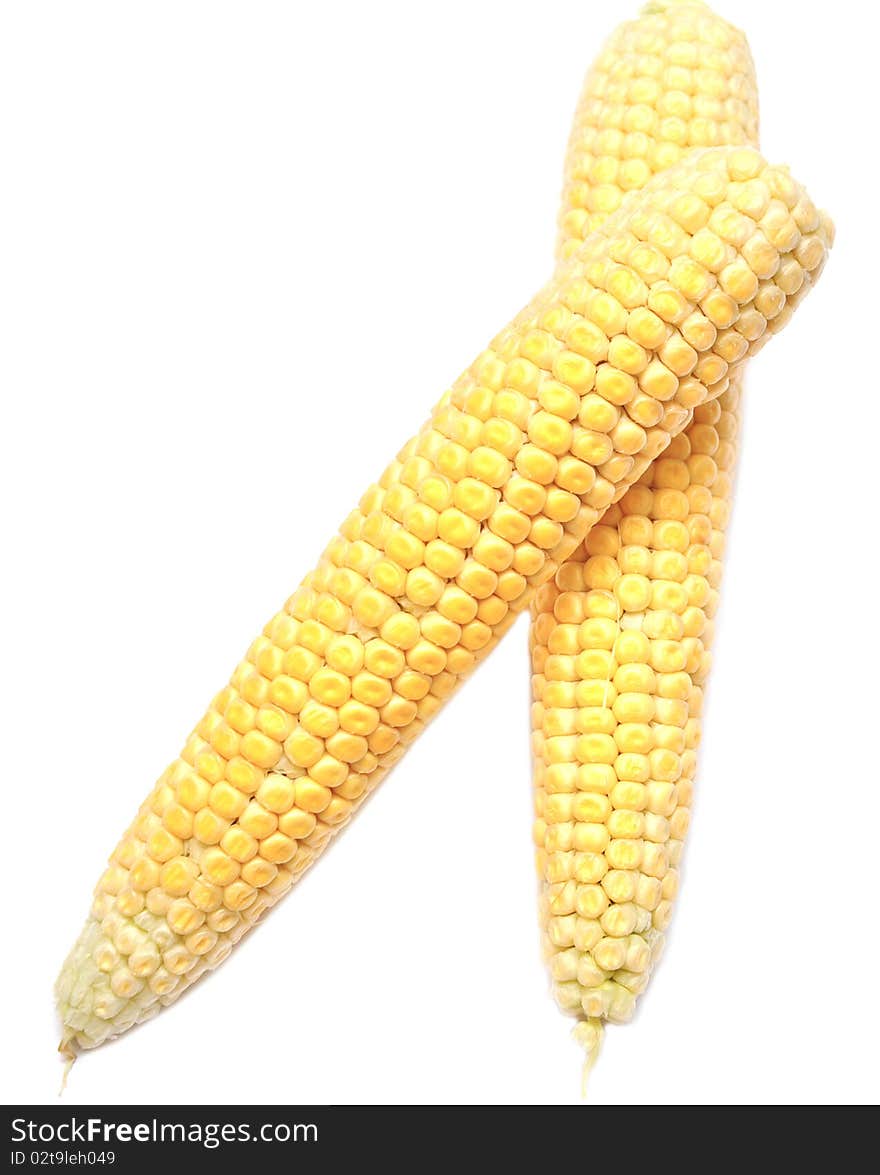 Two Cob Of Corn