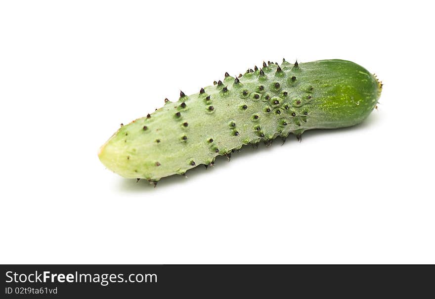 Fresh cucumber on the white isolated background. studio photo