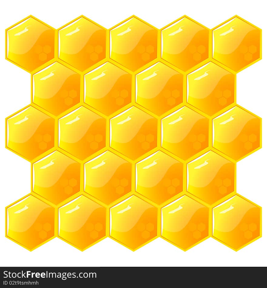 Honeycomb, isolated on the white. Vector. EPS8