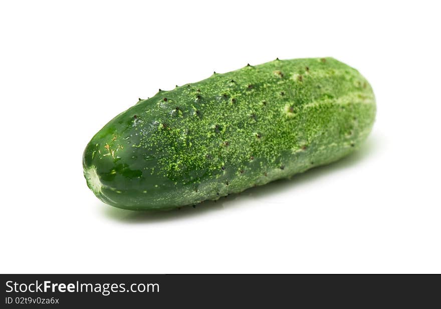 Fresh cucumber on the white isolated background. studio photo