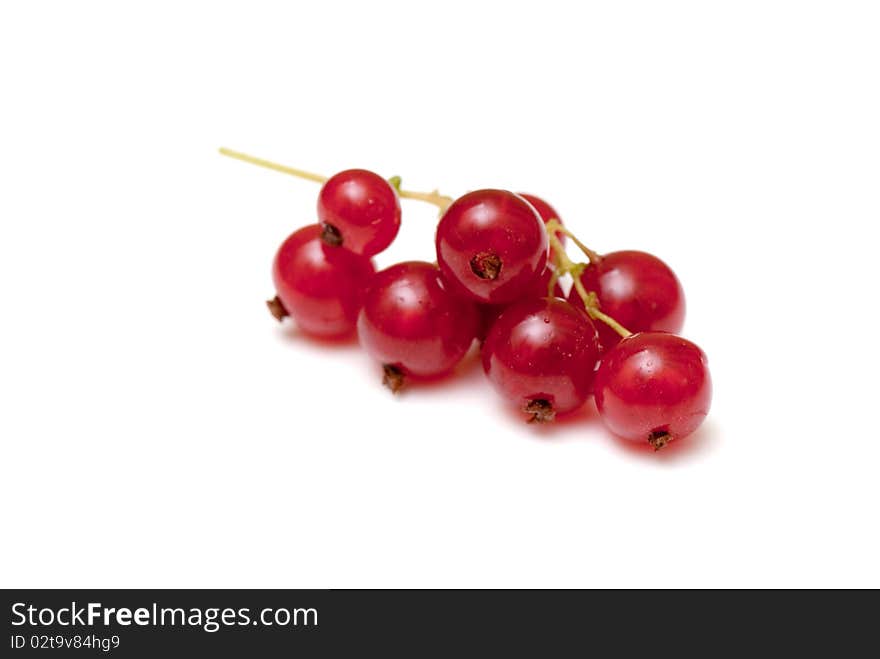 Fresh red currant on the white isolated background