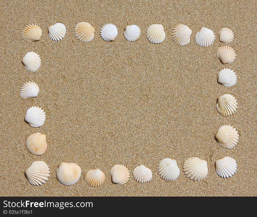 Sea holiday sand and shells background. Sea holiday sand and shells background