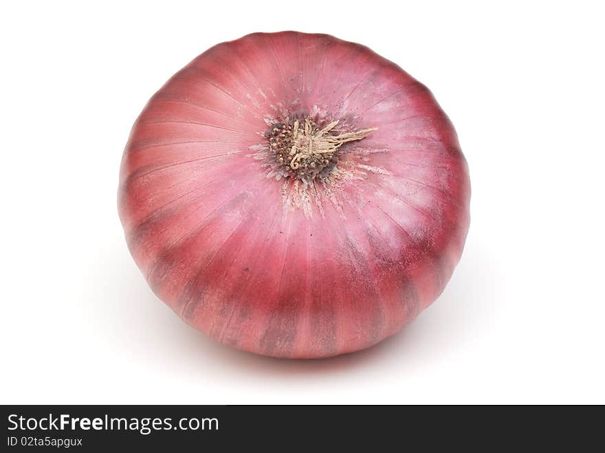 Onion