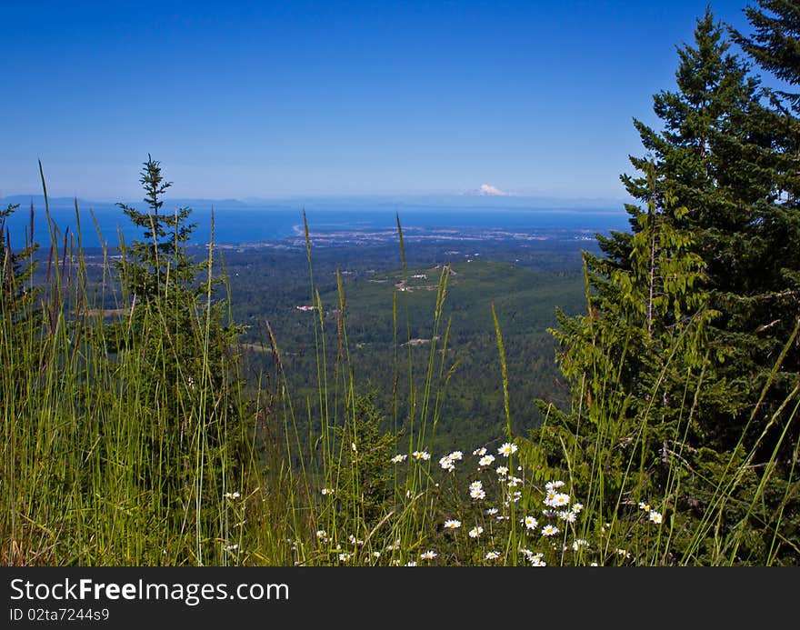 A bay view from Hurricane Ridge, Olympic National Park, Washington, USA. A bay view from Hurricane Ridge, Olympic National Park, Washington, USA