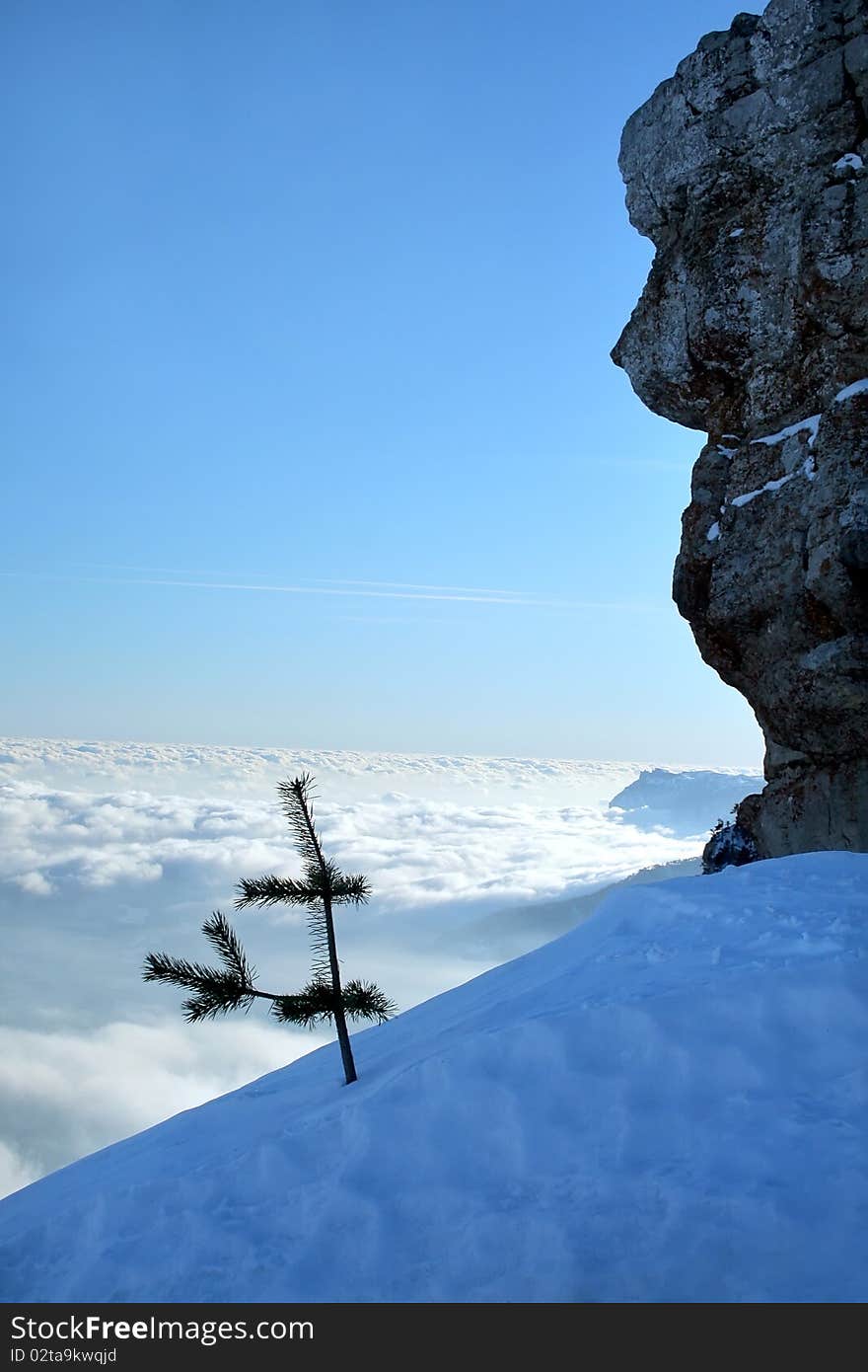 Winter mountain landscape