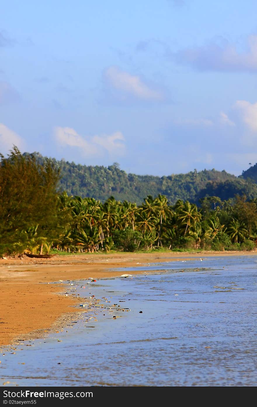 Trash on the beach cause of global warming