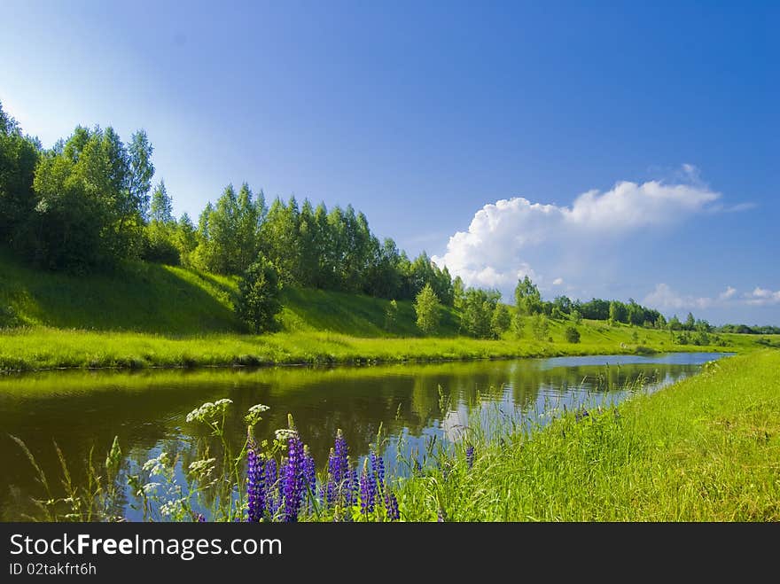 Landscape for Summer in Village