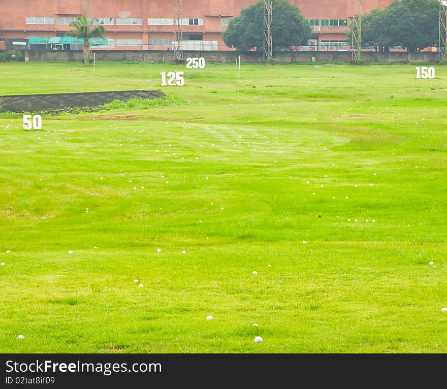 a lot of golf ball on grass field. a lot of golf ball on grass field