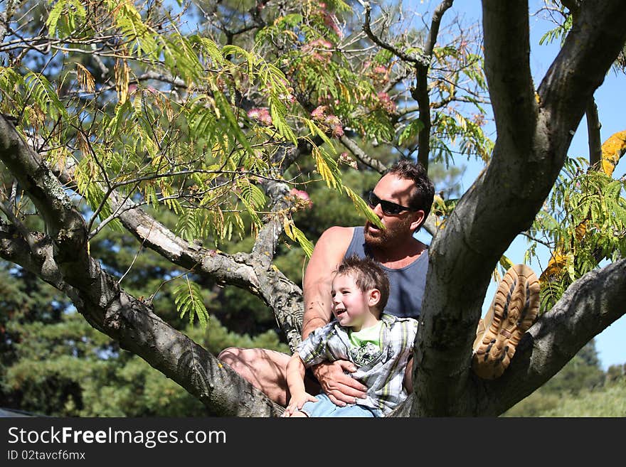 Man in a tree at the park with boy. Man in a tree at the park with boy