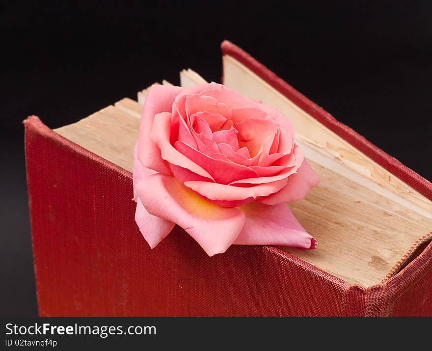 Pink Rose on Large Hard Bound Book. Pink Rose on Large Hard Bound Book