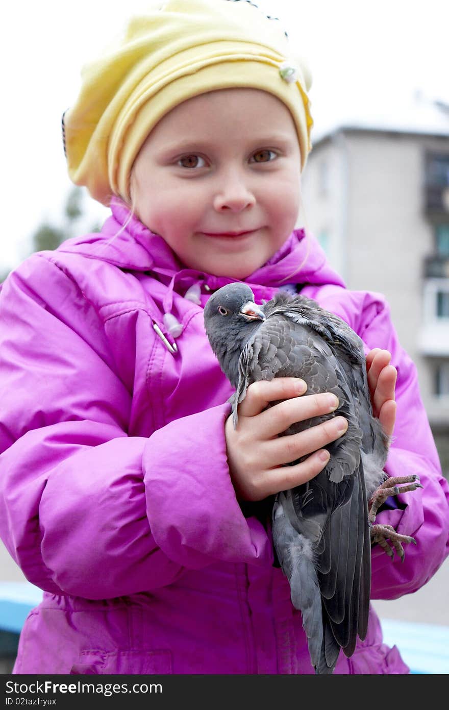 Girl holding a dove in his hands. Girl holding a dove in his hands.