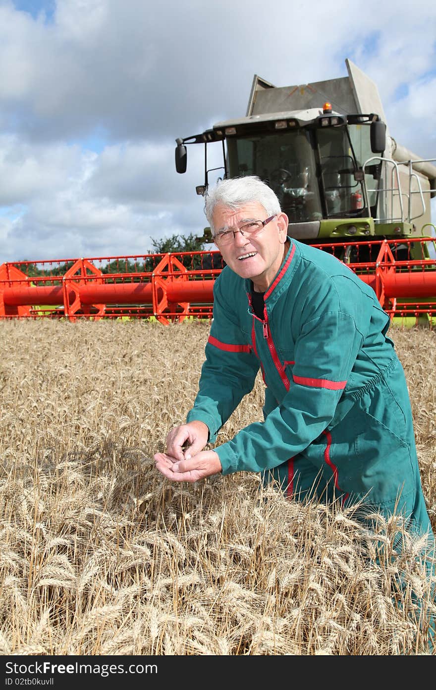 Harvest Season