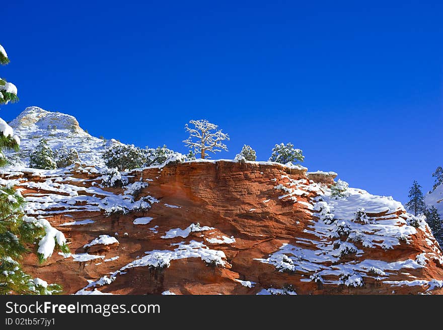 Zion National Park in Winter