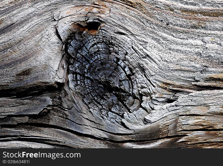 Wooden texture, tree, wooden material