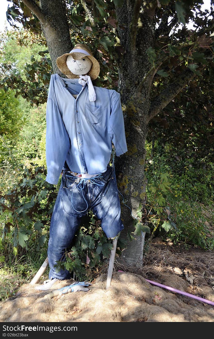 Shot of scarecrow at french farmland in brittany