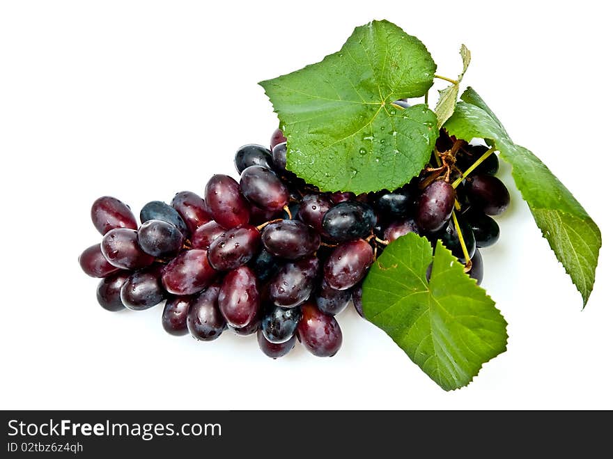 Fresh dark grape with leaves. Isolated on white background