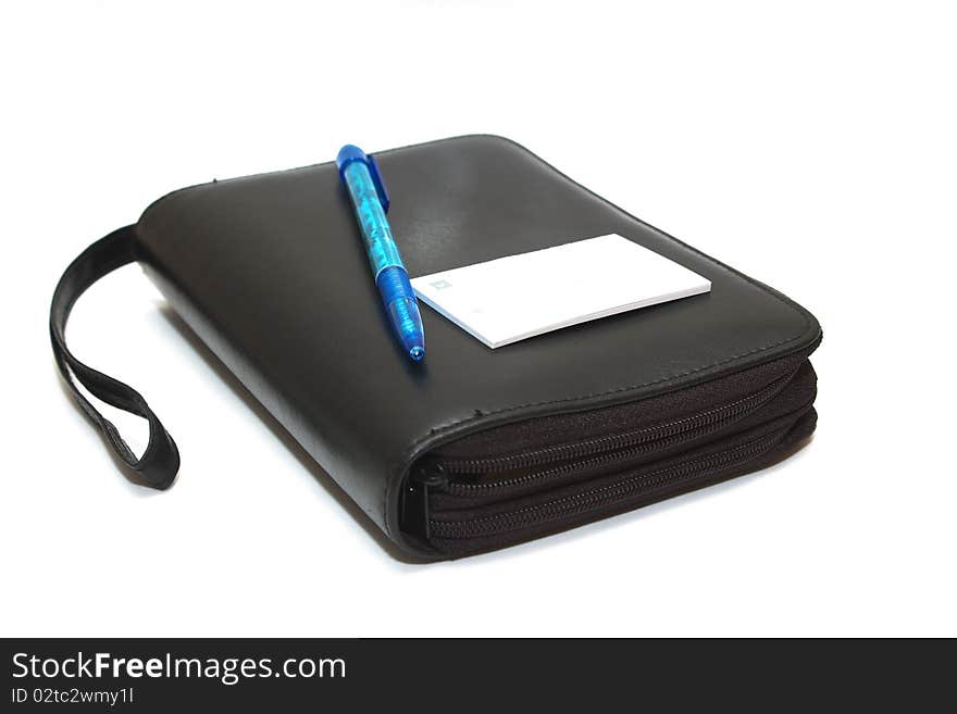 Organizer with pen