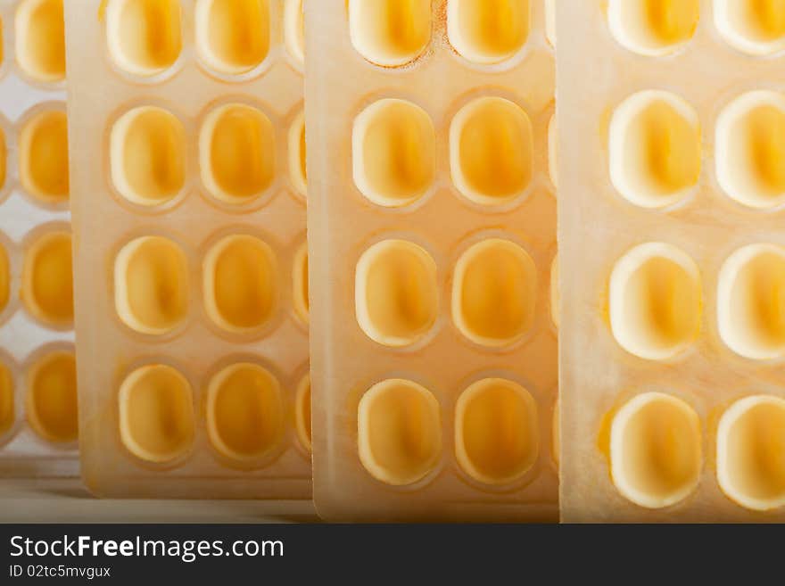 Various delicious pound cake trays