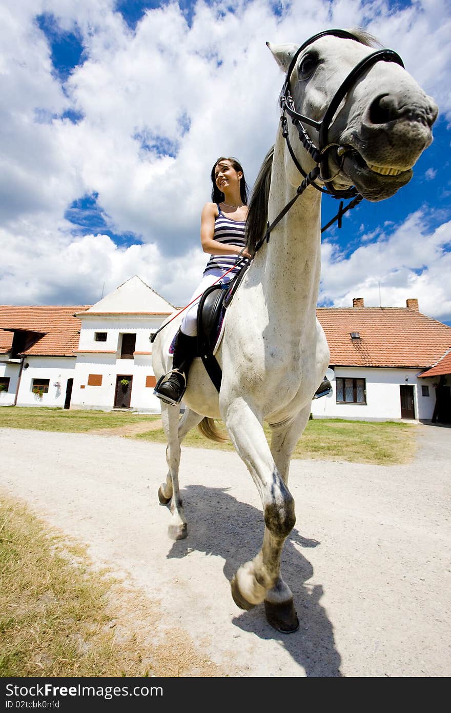 Young woman equestrian on horseback