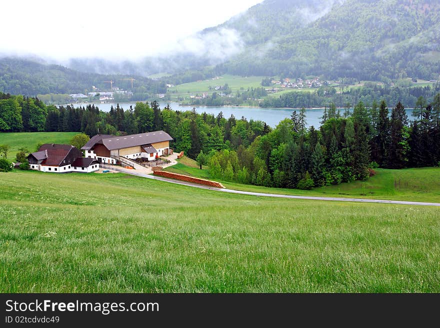 Houses creeping up the hillside on St. Wolfgang,   surrounded by wild flowers,Austria,Europe.