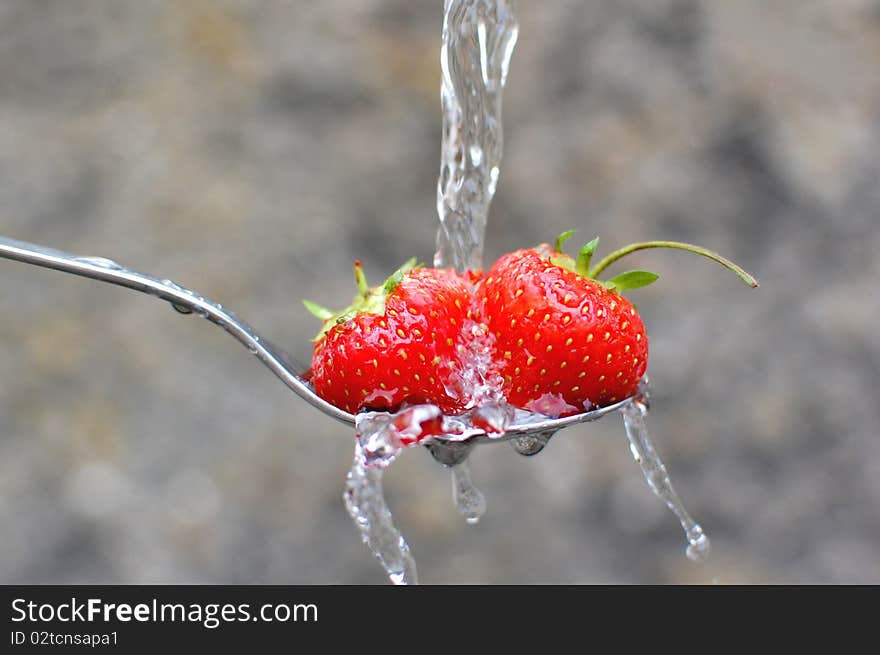 Water flowing over fresh strawberries on a spoon. Water flowing over fresh strawberries on a spoon