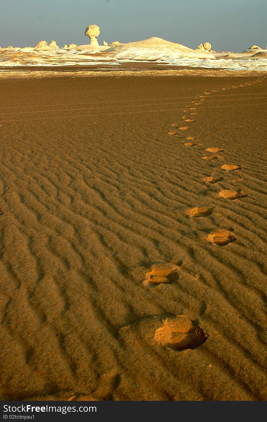 Scenery of the famous white desert with footprints in Egypt