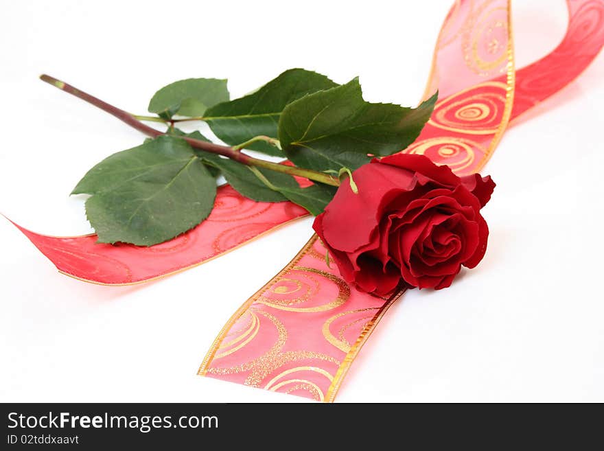 Rose and tape on a white background