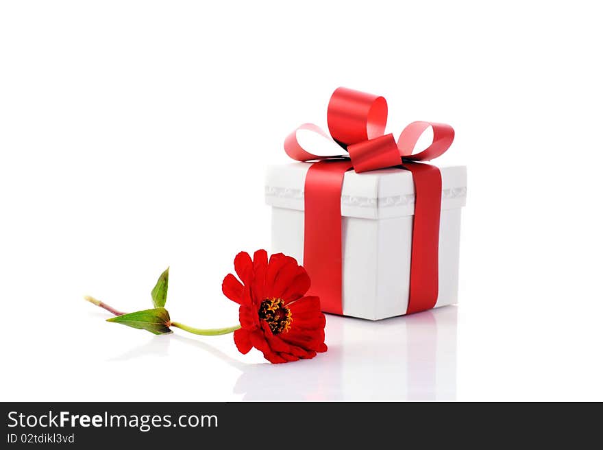 Gift box and red flower close up