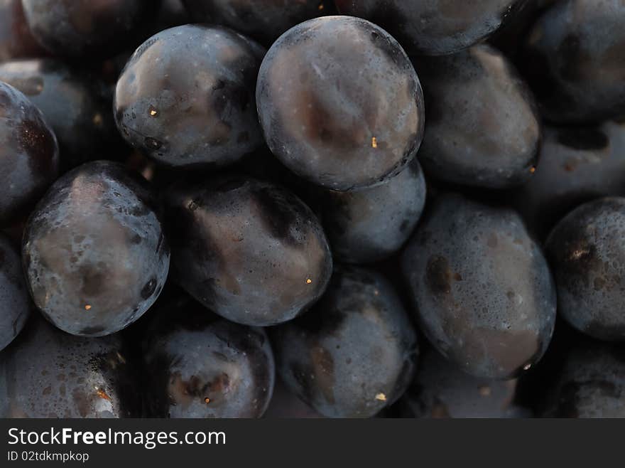 Close-up of ripe blue grapes.