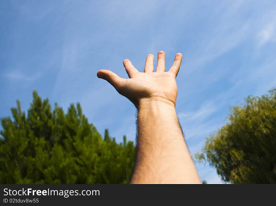 Male hand reaches skyward