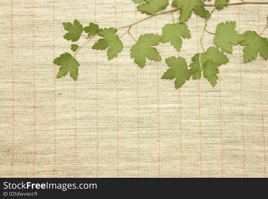 Dried green leaves over natural linen striped textured fabric textile