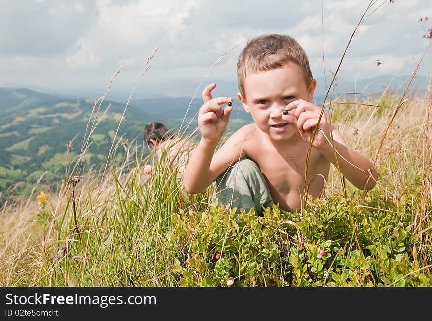 Boy picking blueberry on mountain hill