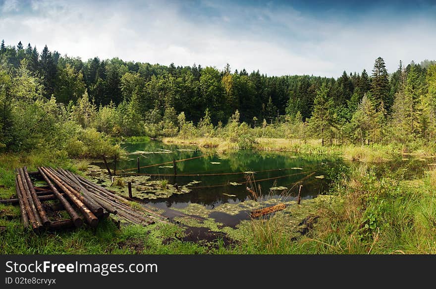 Clear mountain lake in forest