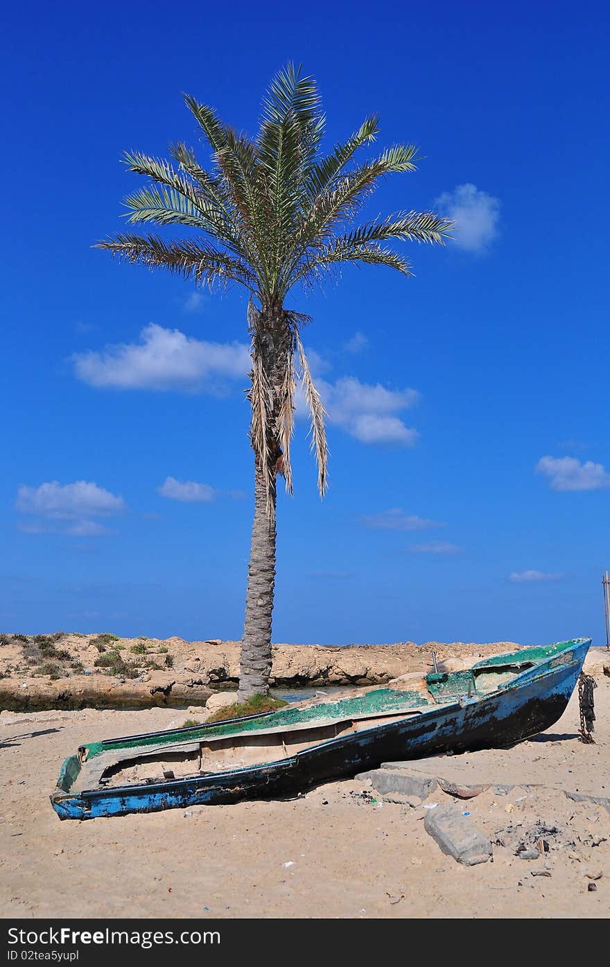 Boat on the sunny beach with green palm