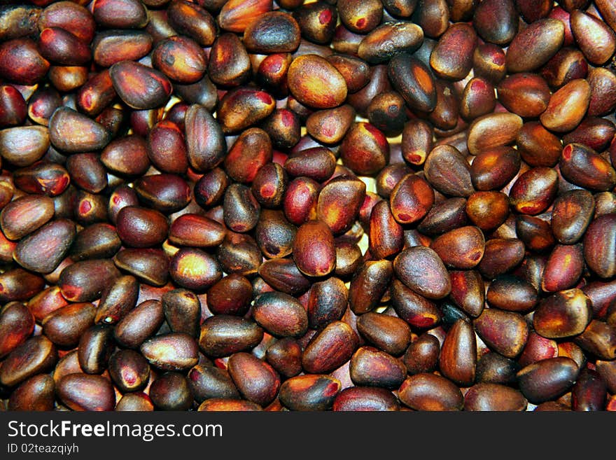 Little cedar nuts from Syberia