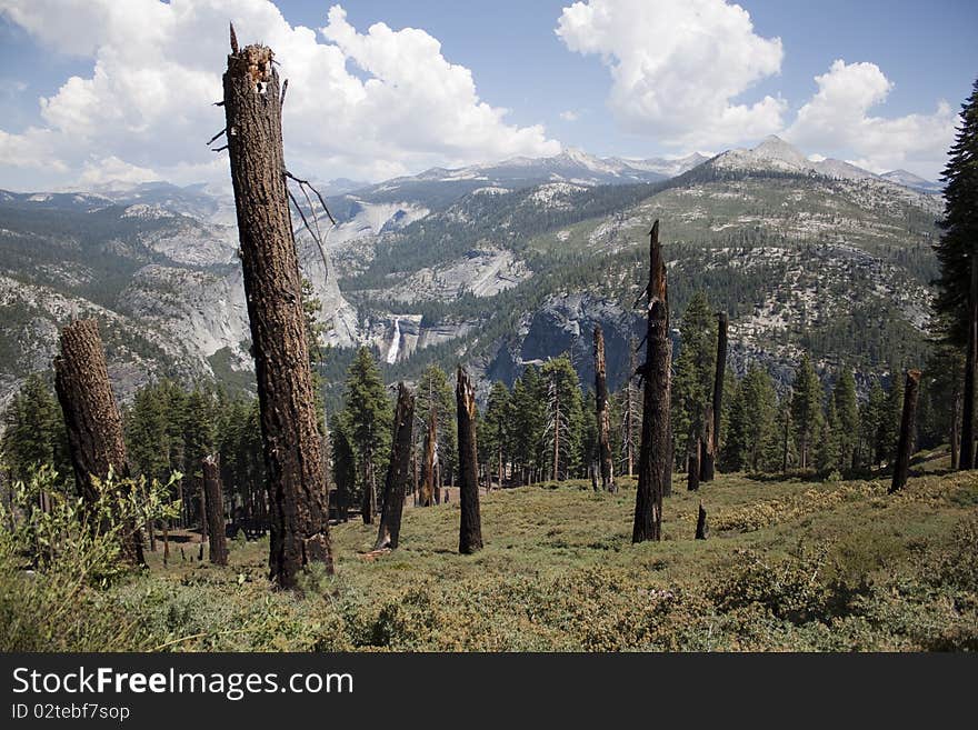 Half dome in Yosemite in the middle of summer.