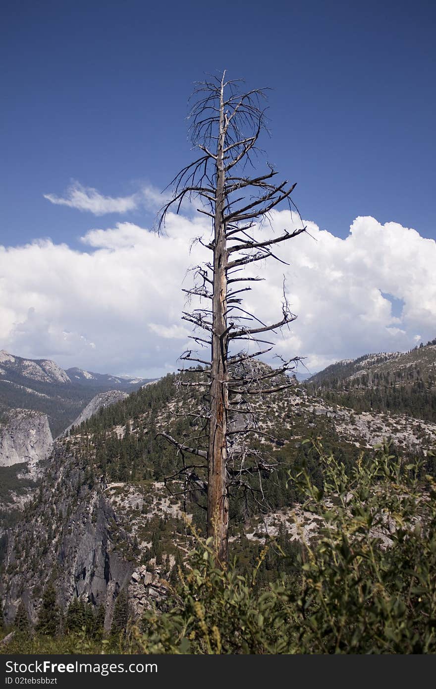 Half dome in Yosemite in the middle of summer.