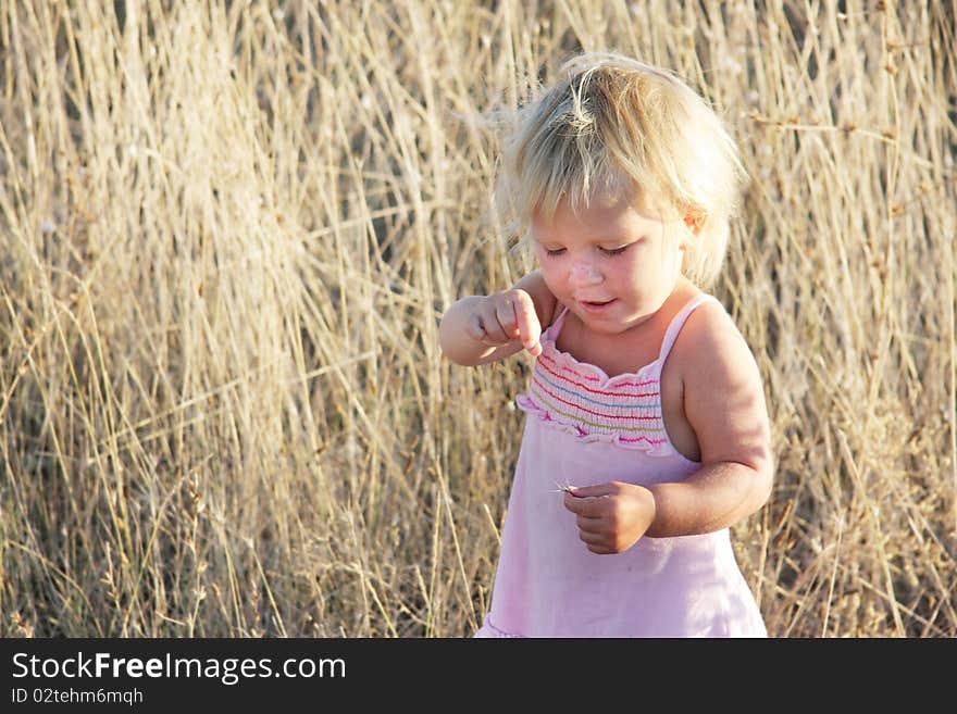 Toddler Girl In Yellow Field Grass