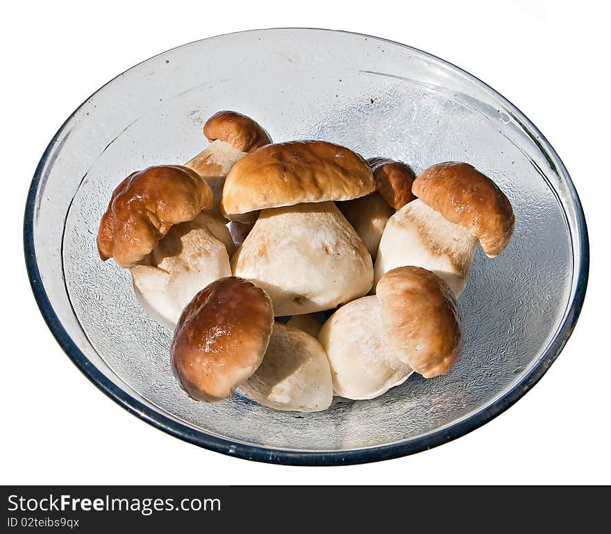 Mushrooms in a bowl