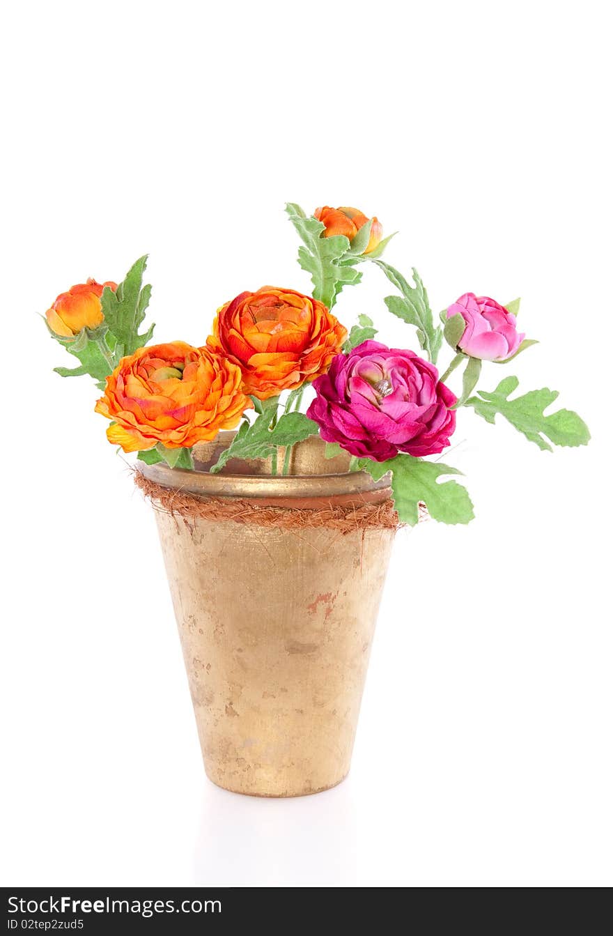 Silk orange and pink buttercups in a golden vase isolated over white