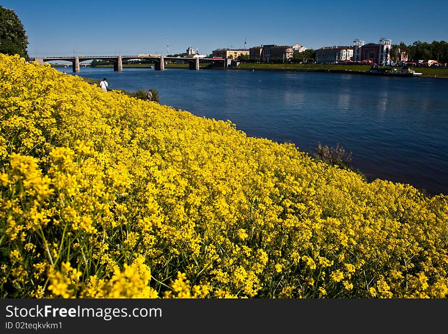 City Ladscape With Flowers